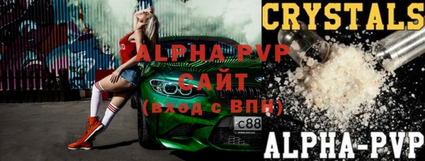 хмурый Белокуриха