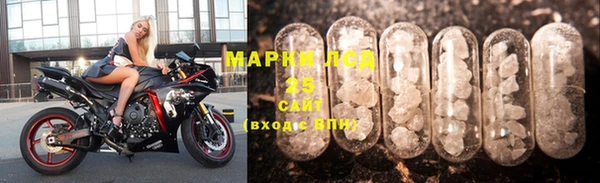 хмурый Белокуриха