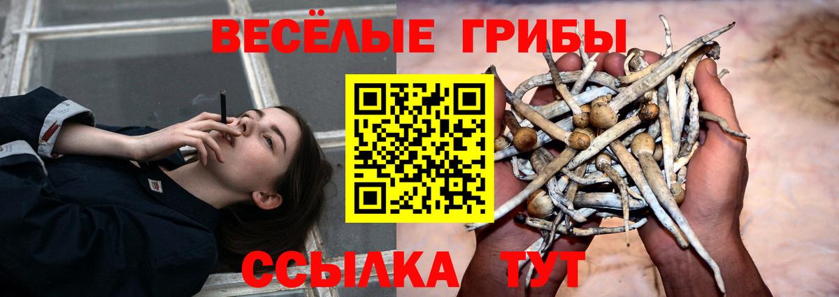 Кокаин  Мед  Codein  МАРИХУАНА  Хэш  ГАШИШ  Вход с VPN  Дзержинский  Меф  НБОМе 