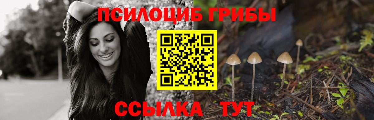 купить  цена  Псилоцибиновые грибы MAGIC MUSHROOMS  Дзержинский  Галлюциногенные грибы GOLDEN TEACHER 