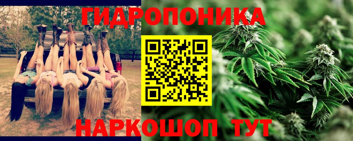 Дзержинский  Бошки марихуана LSD WEED  Вход с VPN  Конопля планчик  Канабис THC 21% 
